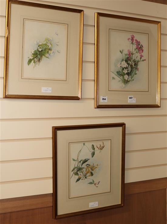 20th century English School, three watercolours, floral studies